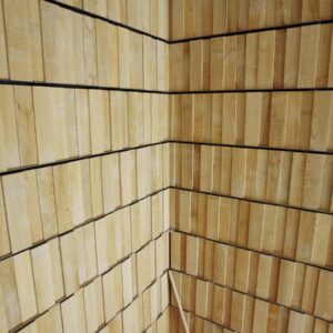 SAN MILLAN LENGUA JR13.jpg